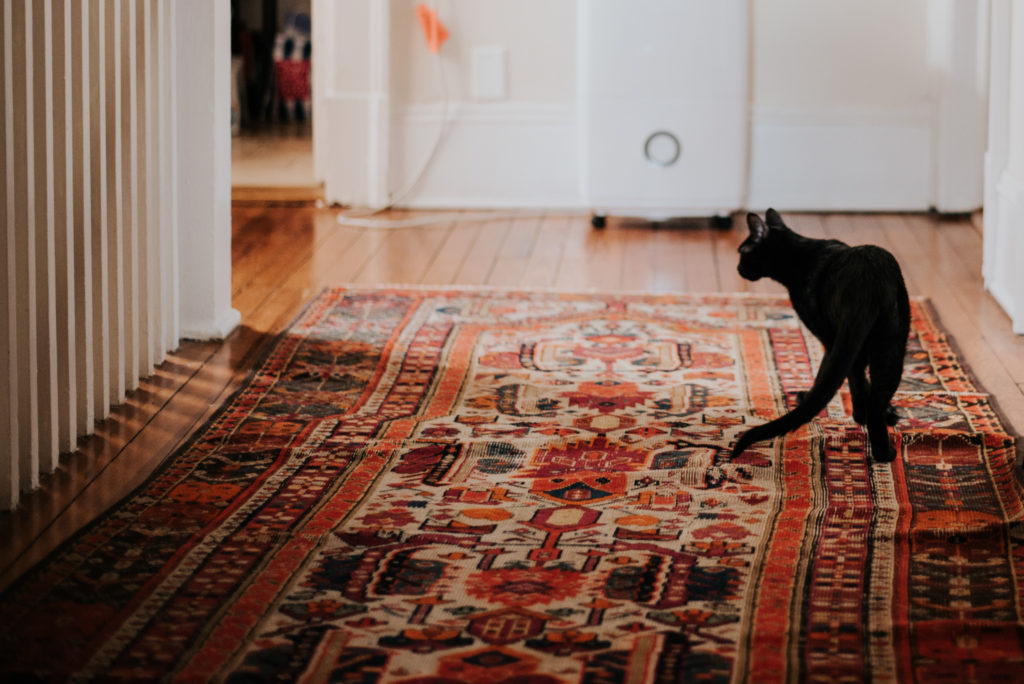In-Home Session by Stephanie Acar