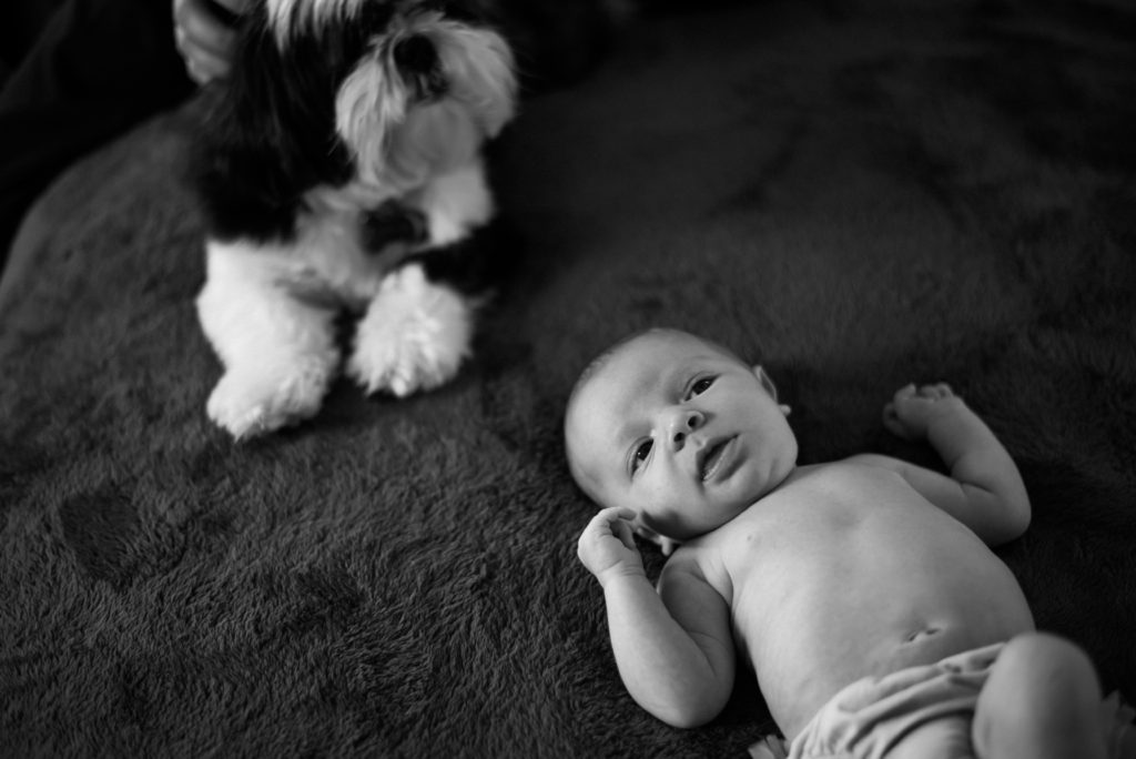In-Home Session by Stephanie Acar
