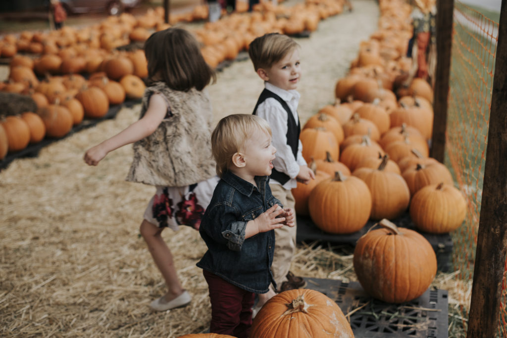 The rainbow baby: Jacksonville FL Family Photographer Stephanie Acar