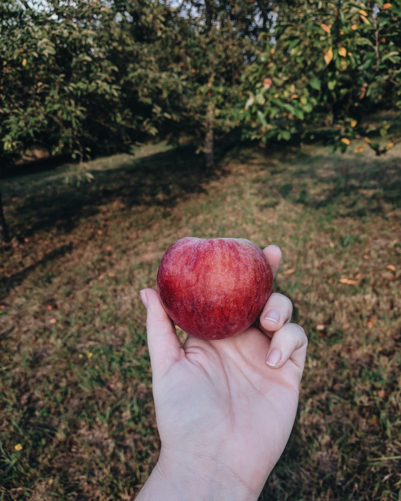 Germany - the Vacation Post | Stephanie Acar, Photographer