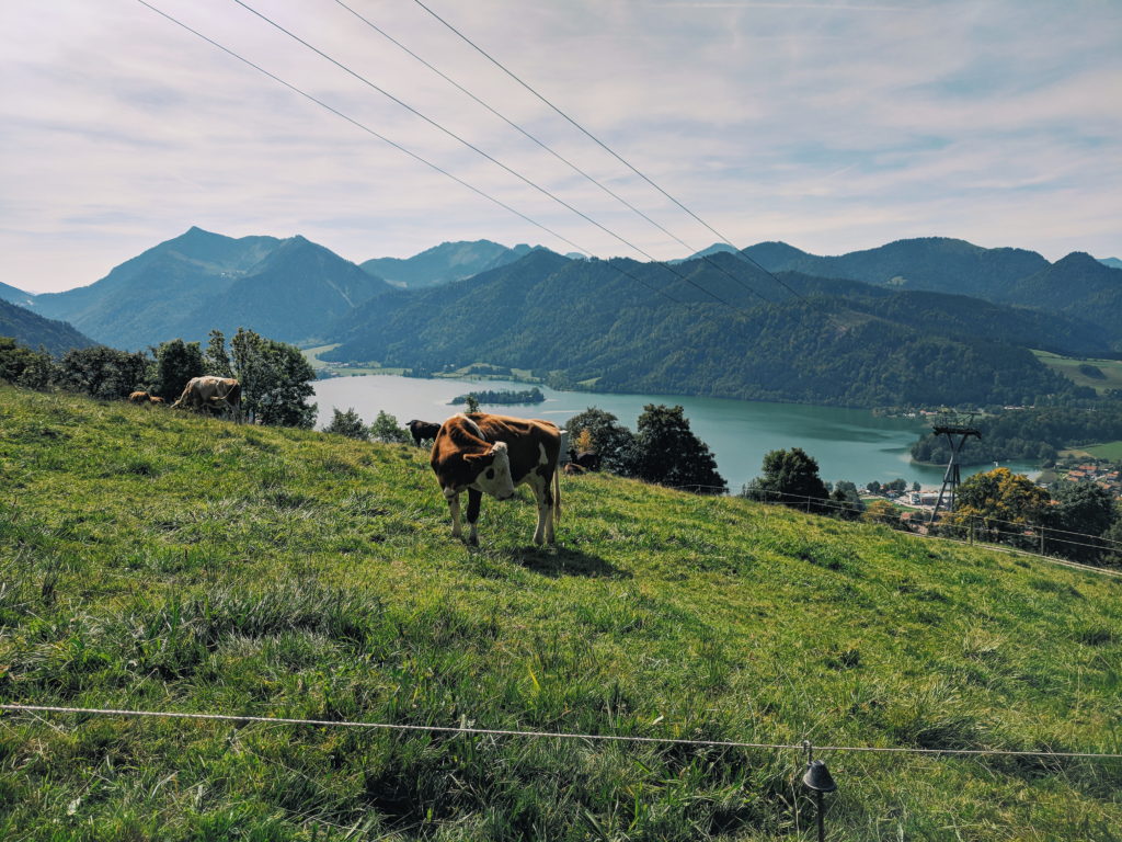 Germany - the Vacation Post | Stephanie Acar, Photographer